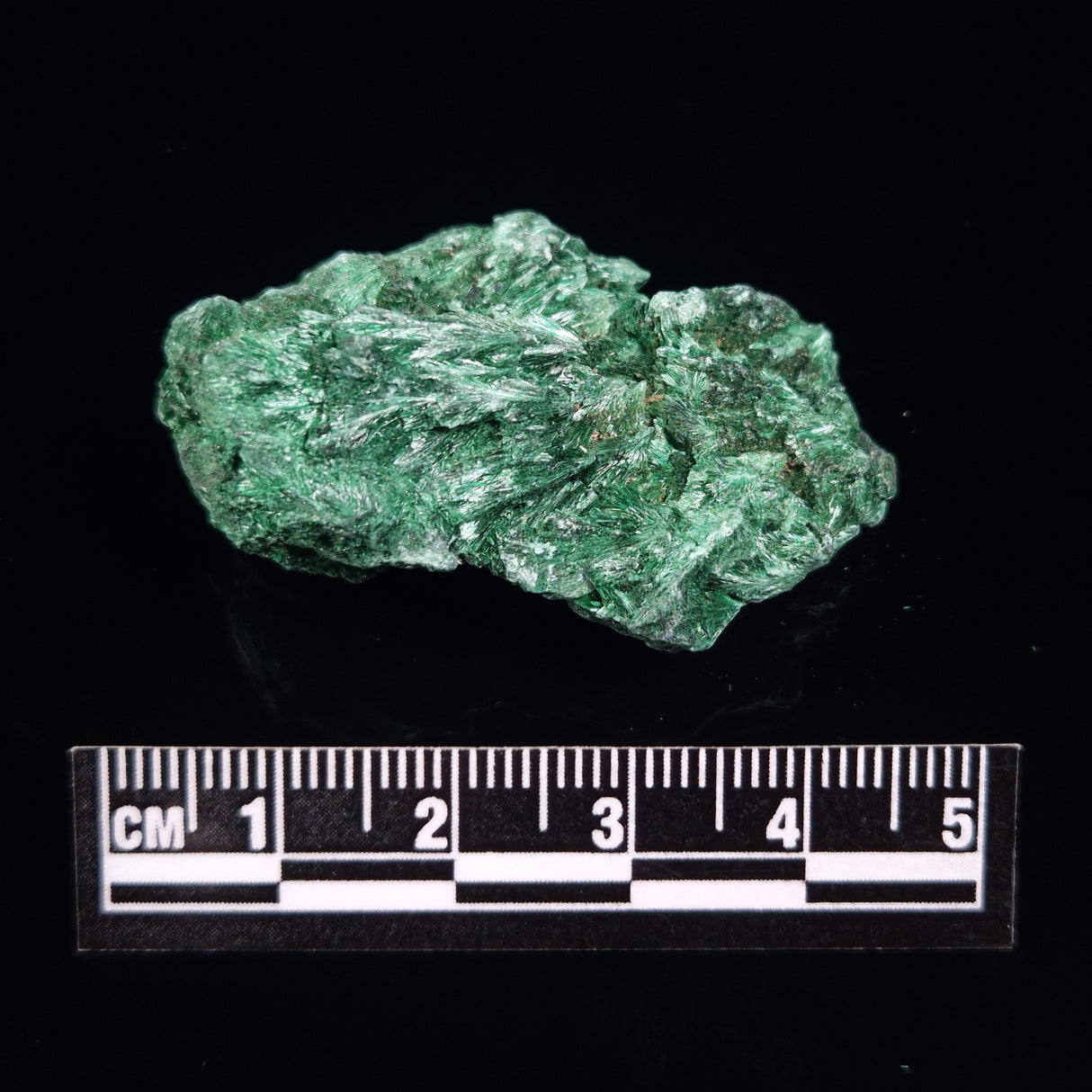 VELVET MALACHITE, Democratic Republic of Congo XVM006