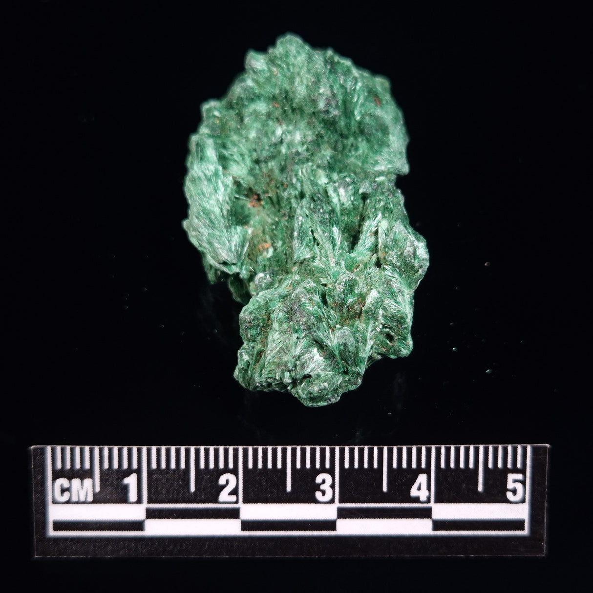 VELVET MALACHITE, Democratic Republic of Congo XVM006
