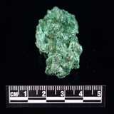 VELVET MALACHITE, Democratic Republic of Congo XVM006