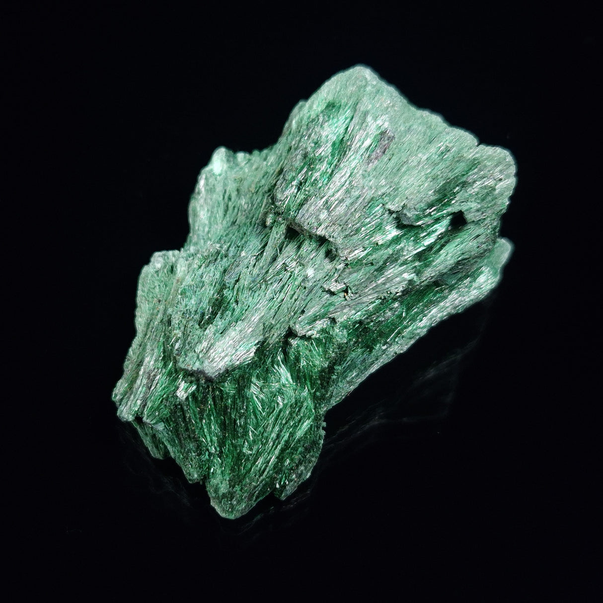 VELVET MALACHITE, Democratic Republic of Congo XVM007