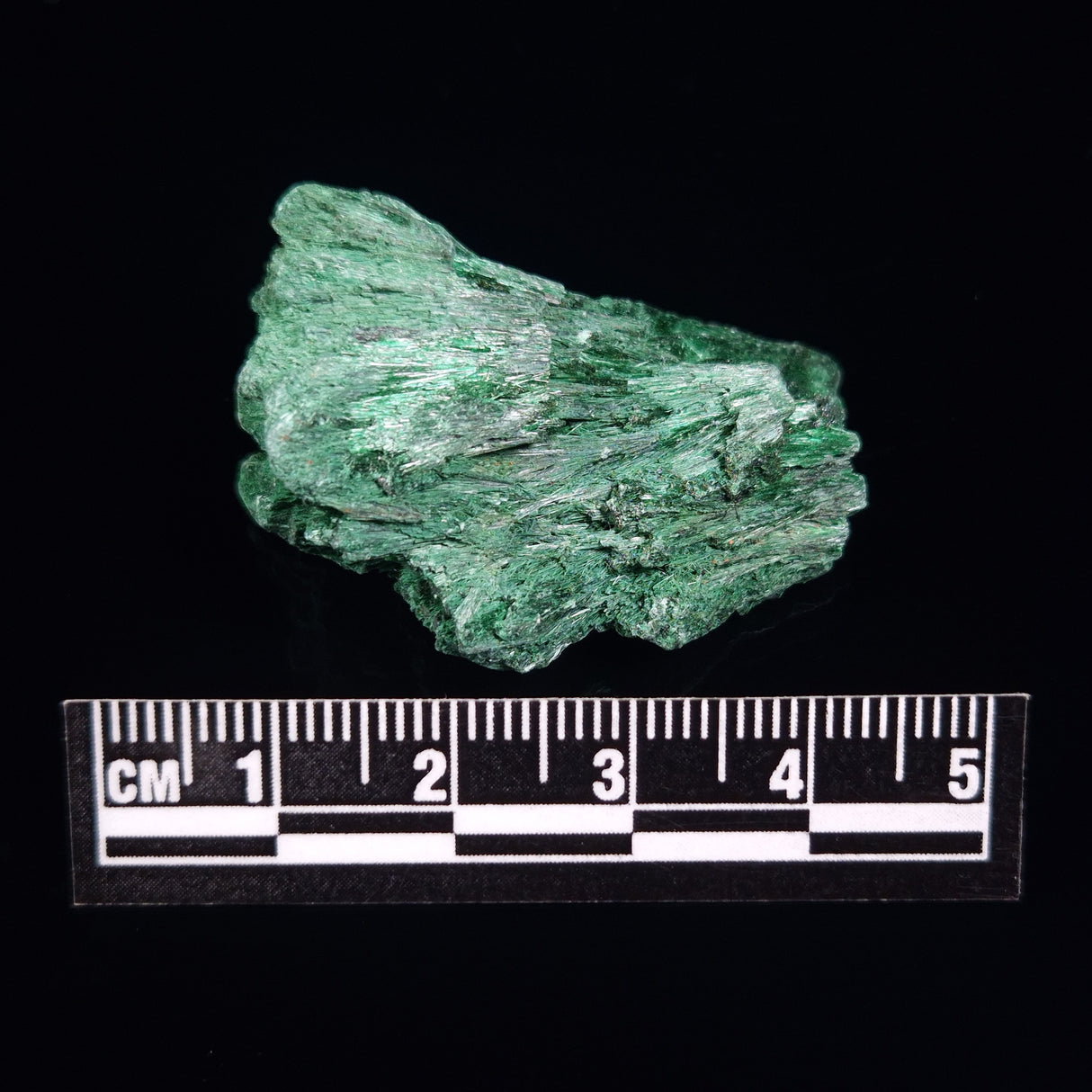 VELVET MALACHITE, Democratic Republic of Congo XVM007