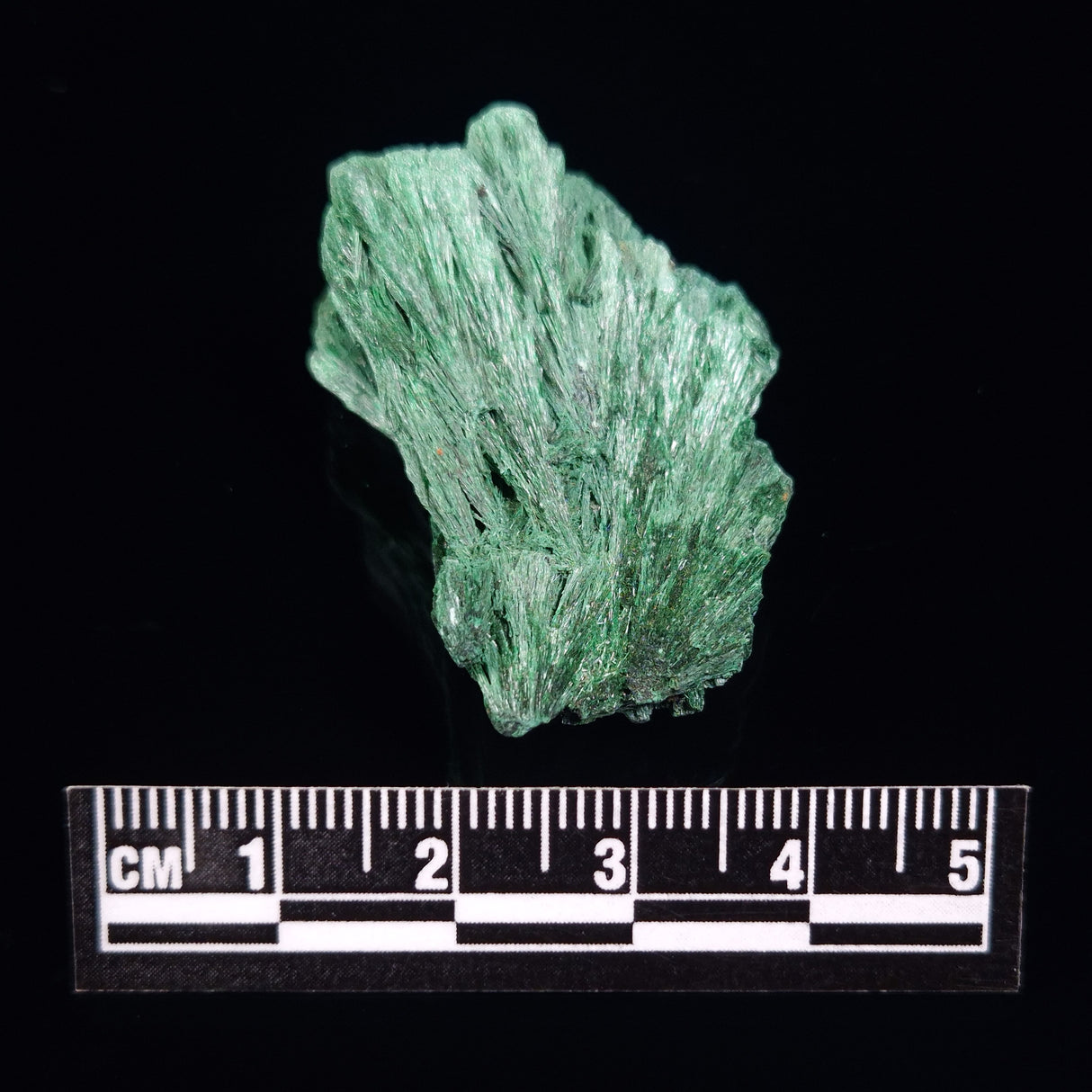 VELVET MALACHITE, Democratic Republic of Congo XVM007