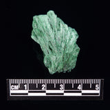 VELVET MALACHITE, Democratic Republic of Congo XVM007