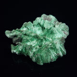 VELVET MALACHITE, Democratic Republic of Congo XVM008