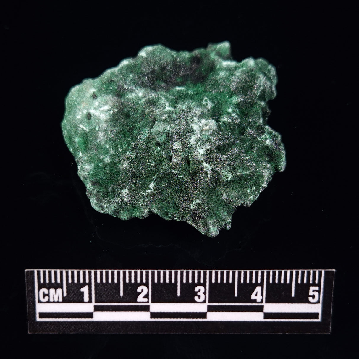 VELVET MALACHITE, Democratic Republic of Congo XVM008