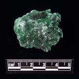 VELVET MALACHITE, Democratic Republic of Congo XVM008