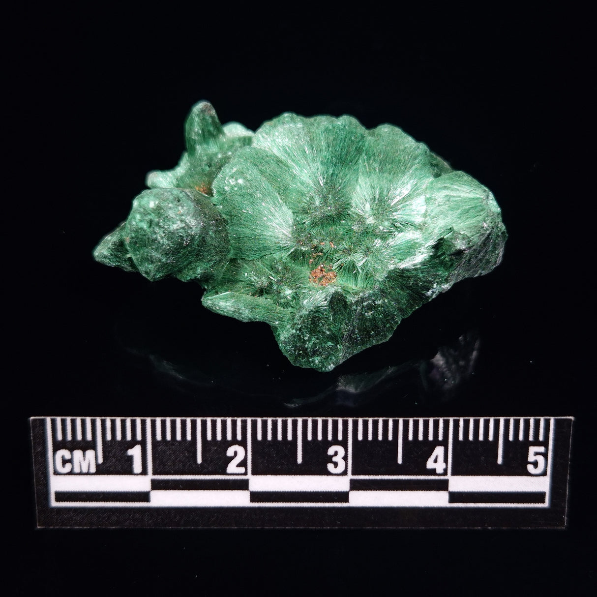 VELVET MALACHITE, Democratic Republic of Congo XVM009