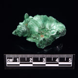 VELVET MALACHITE, Democratic Republic of Congo XVM009