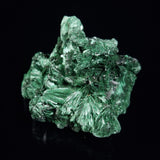 VELVET MALACHITE, Democratic Republic of Congo XVM011