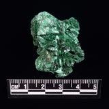 VELVET MALACHITE, Democratic Republic of Congo XVM011