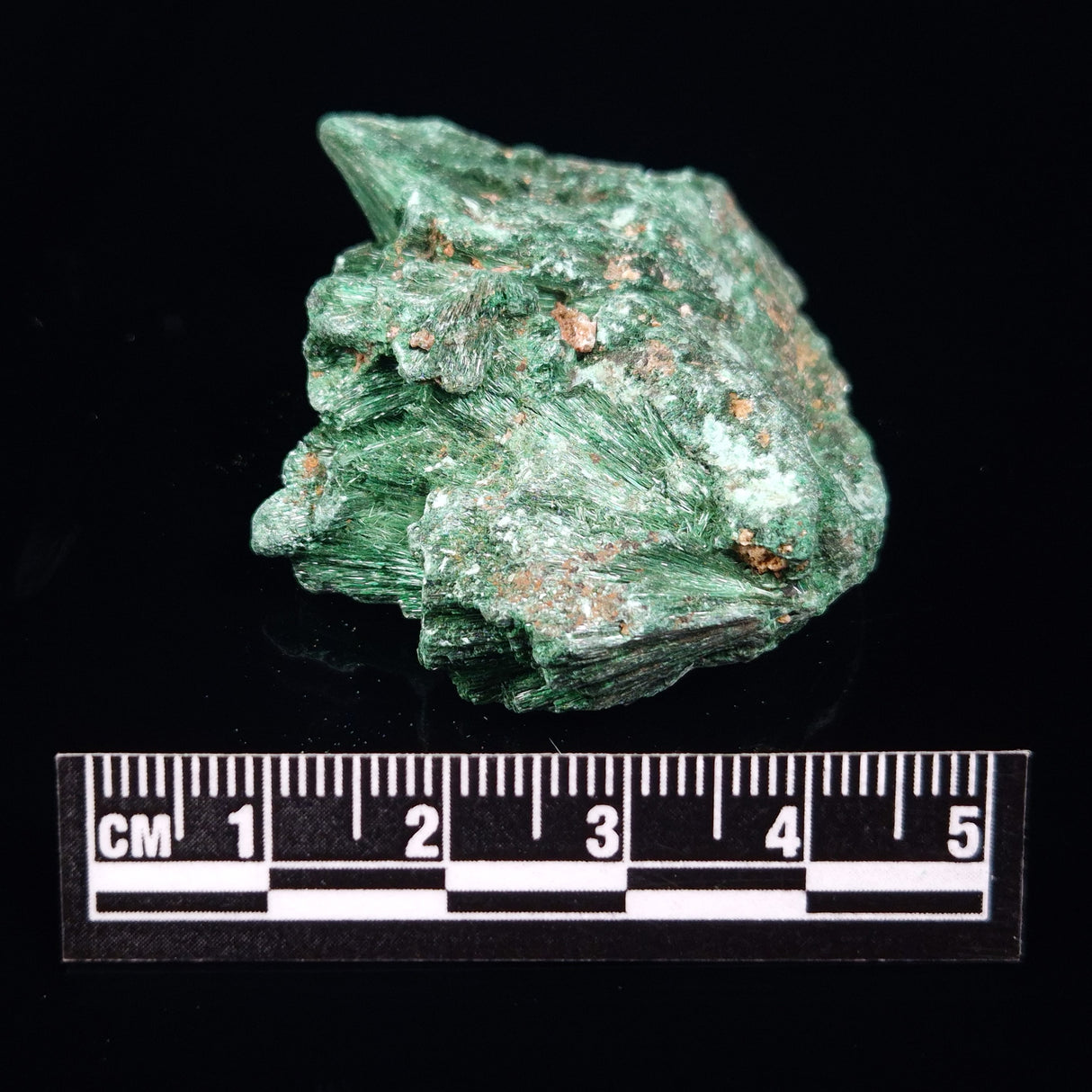 VELVET MALACHITE, Democratic Republic of Congo XVM012