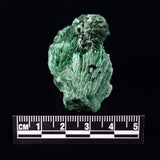 VELVET MALACHITE, Democratic Republic of Congo XVM013