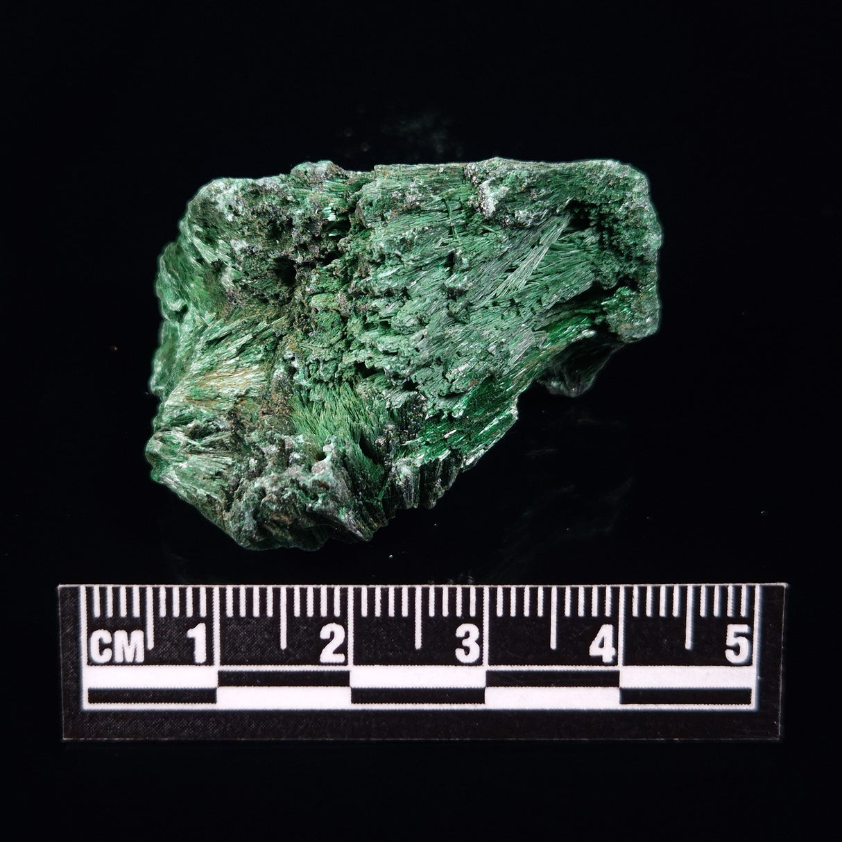 VELVET MALACHITE, Democratic Republic of Congo XVM013
