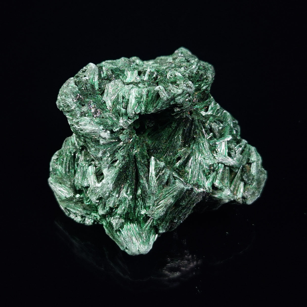 VELVET MALACHITE, Democratic Republic of Congo XVM014
