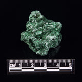 VELVET MALACHITE, Democratic Republic of Congo XVM014