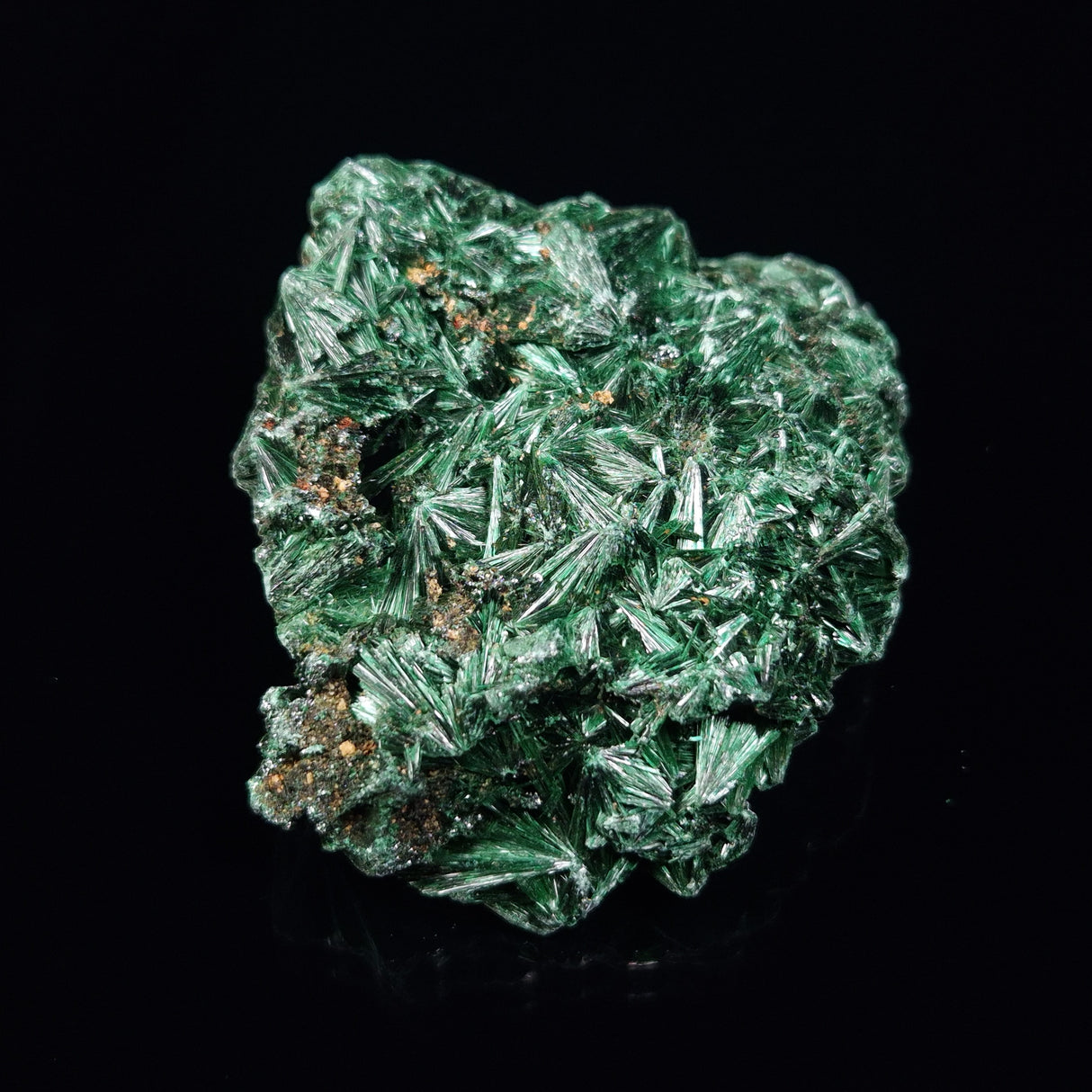 VELVET MALACHITE, Democratic Republic of Congo XVM015