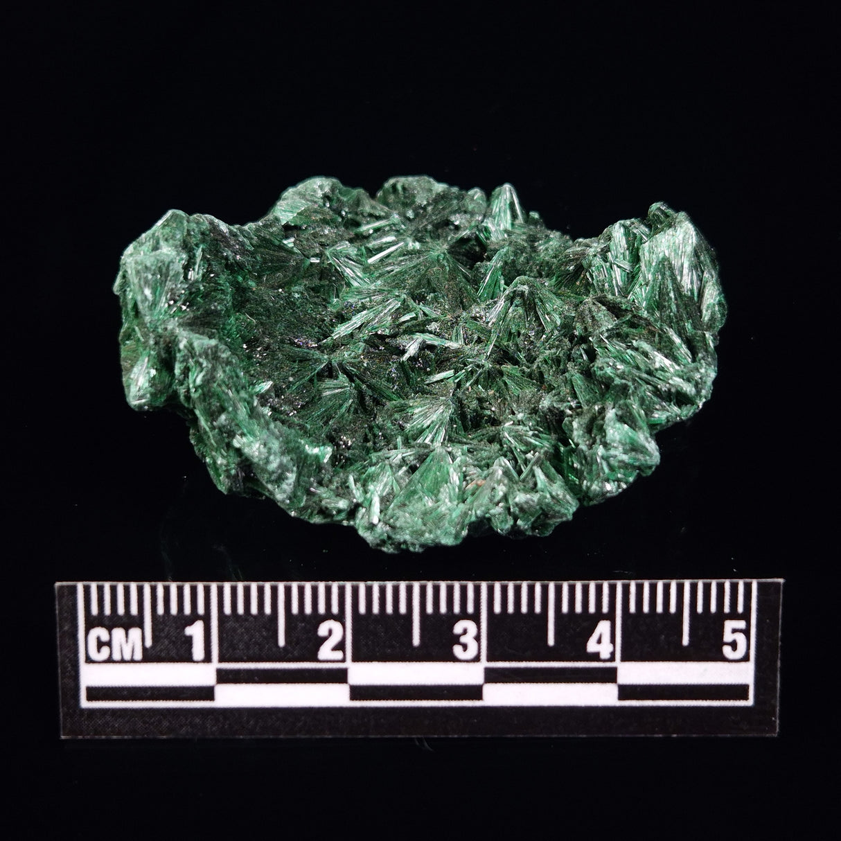 VELVET MALACHITE, Democratic Republic of Congo XVM015