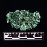 VELVET MALACHITE, Democratic Republic of Congo XVM015