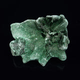 VELVET MALACHITE, Democratic Republic of Congo XVM016