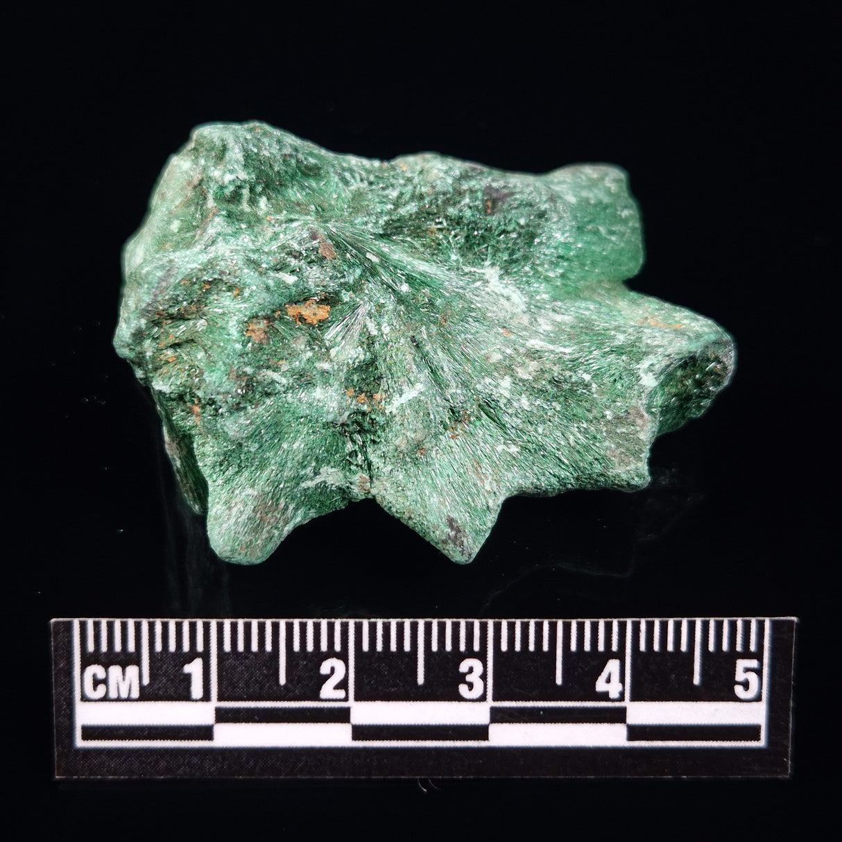 VELVET MALACHITE, Democratic Republic of Congo XVM016