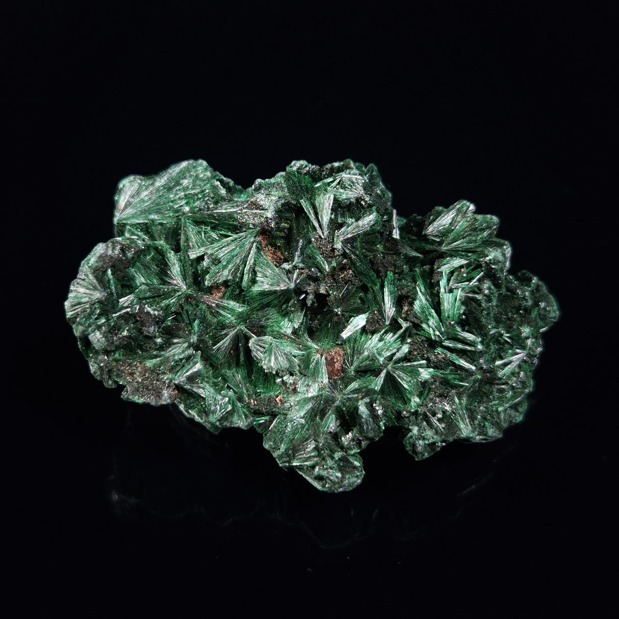 VELVET MALACHITE, Democratic Republic of Congo XVM017