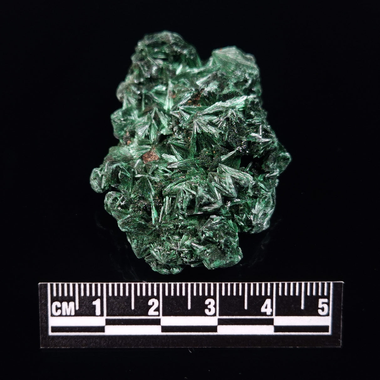 VELVET MALACHITE, Democratic Republic of Congo XVM017