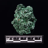 VELVET MALACHITE, Democratic Republic of Congo XVM017