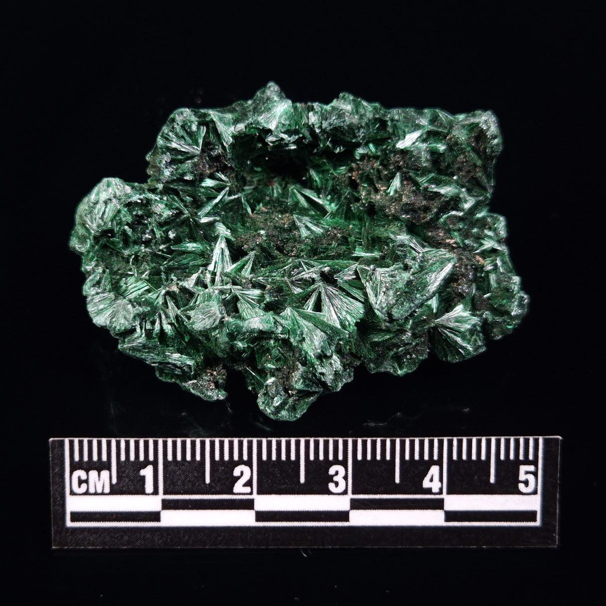 VELVET MALACHITE, Democratic Republic of Congo XVM017