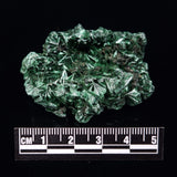 VELVET MALACHITE, Democratic Republic of Congo XVM017