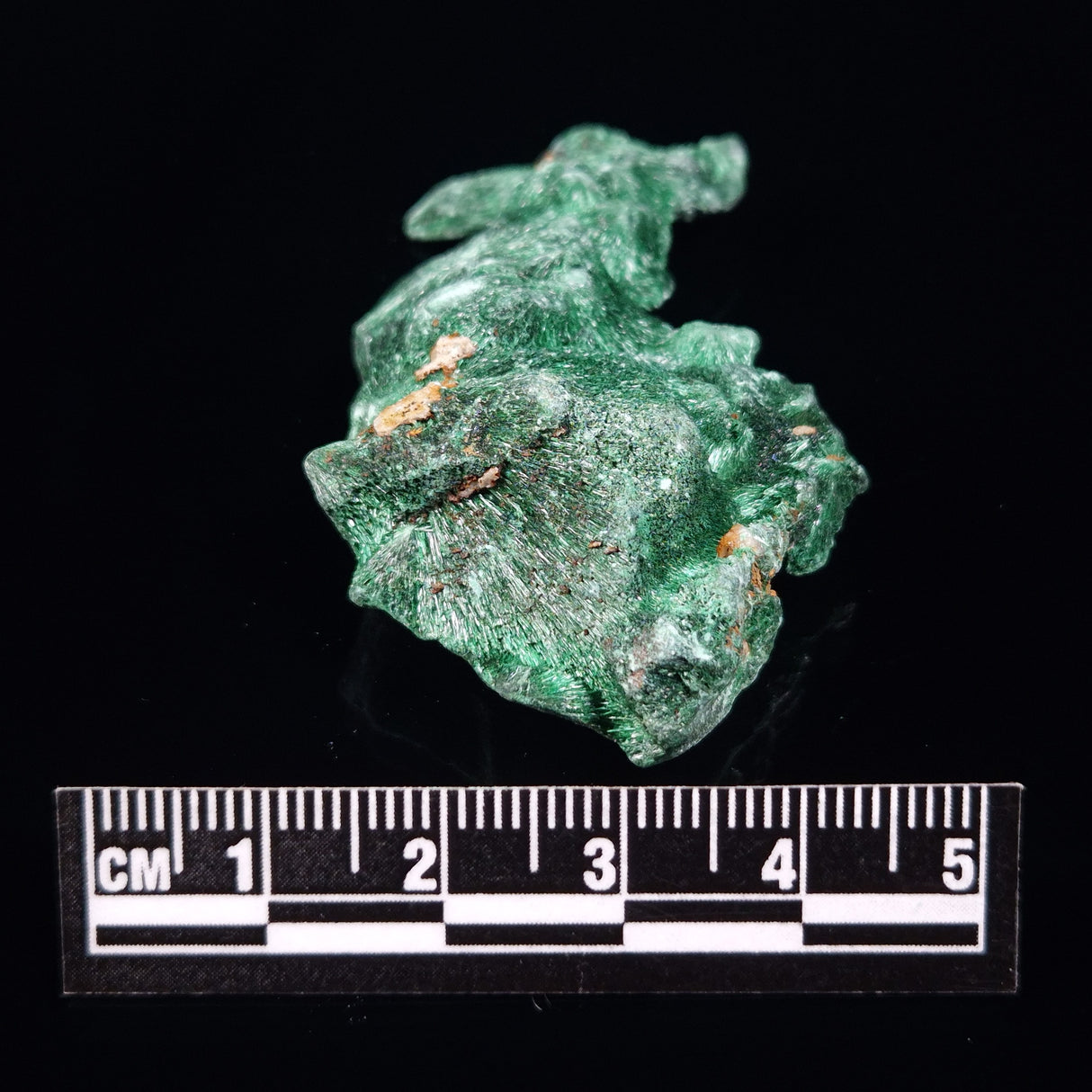 VELVET MALACHITE, Democratic Republic of Congo XVM018