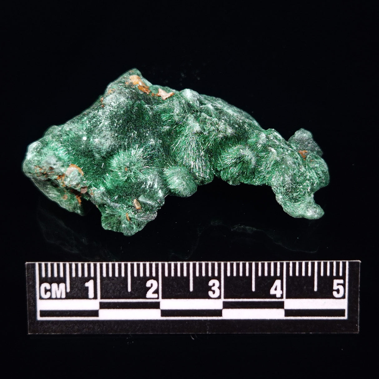 VELVET MALACHITE, Democratic Republic of Congo XVM018