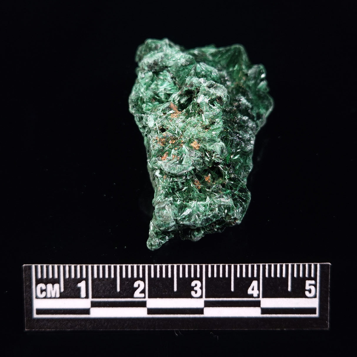 VELVET MALACHITE, Democratic Republic of Congo XVM019
