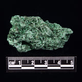VELVET MALACHITE, Democratic Republic of Congo XVM019