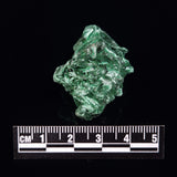 VELVET MALACHITE, Democratic Republic of Congo XVM020