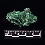 VELVET MALACHITE, Democratic Republic of Congo XVM020