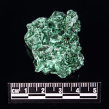 VELVET MALACHITE, Democratic Republic of Congo XVM021