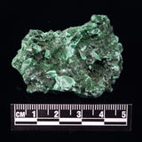 VELVET MALACHITE, Democratic Republic of Congo XVM021