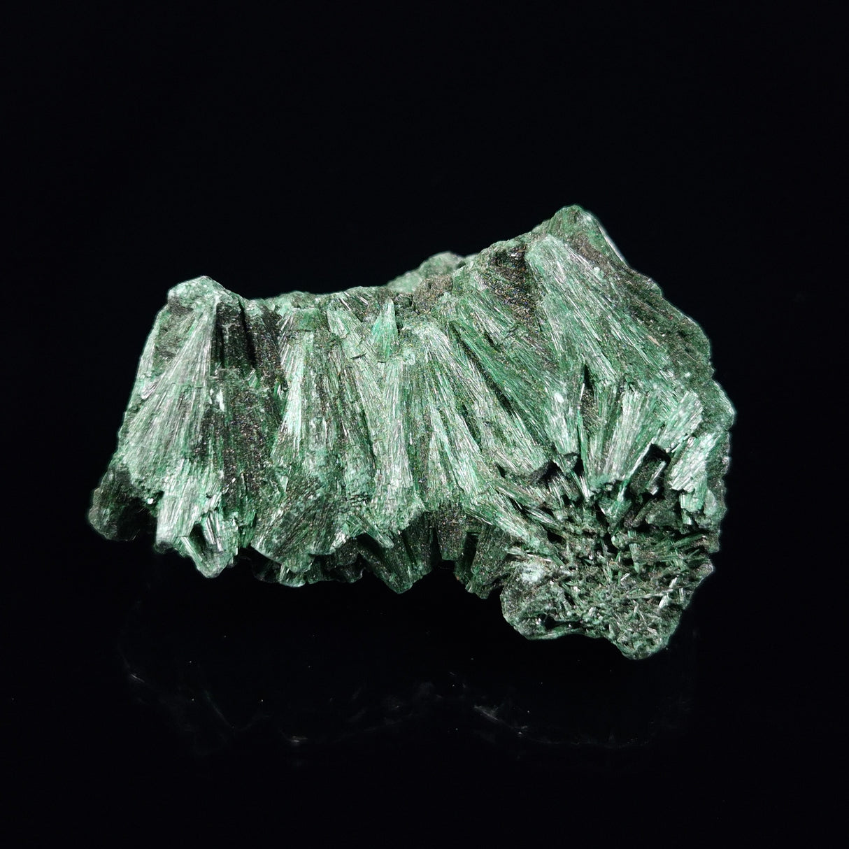 VELVET MALACHITE, Democratic Republic of Congo XVM022