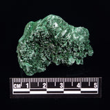 VELVET MALACHITE, Democratic Republic of Congo XVM022