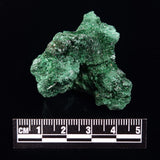 VELVET MALACHITE, Democratic Republic of Congo XVM023