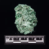 VELVET MALACHITE, Democratic Republic of Congo XVM024