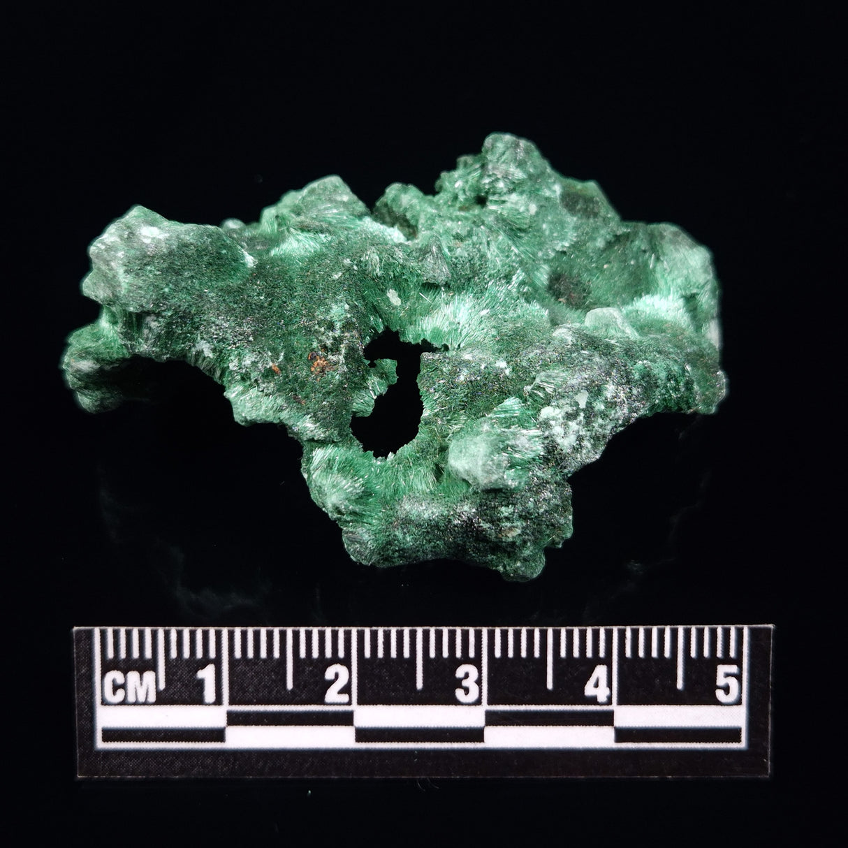 VELVET MALACHITE, Democratic Republic of Congo XVM025