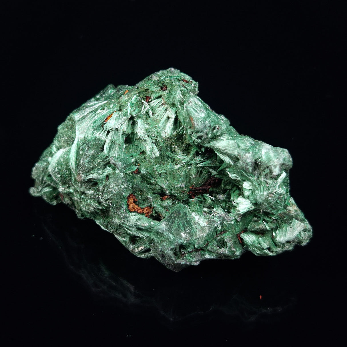 VELVET MALACHITE, Democratic Republic of Congo XVM026