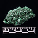 VELVET MALACHITE, Democratic Republic of Congo XVM026