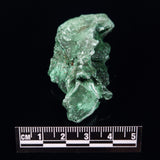 VELVET MALACHITE, Democratic Republic of Congo XVM027