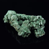 VELVET MALACHITE, Democratic Republic of Congo XVM028