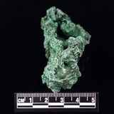 VELVET MALACHITE, Democratic Republic of Congo XVM028