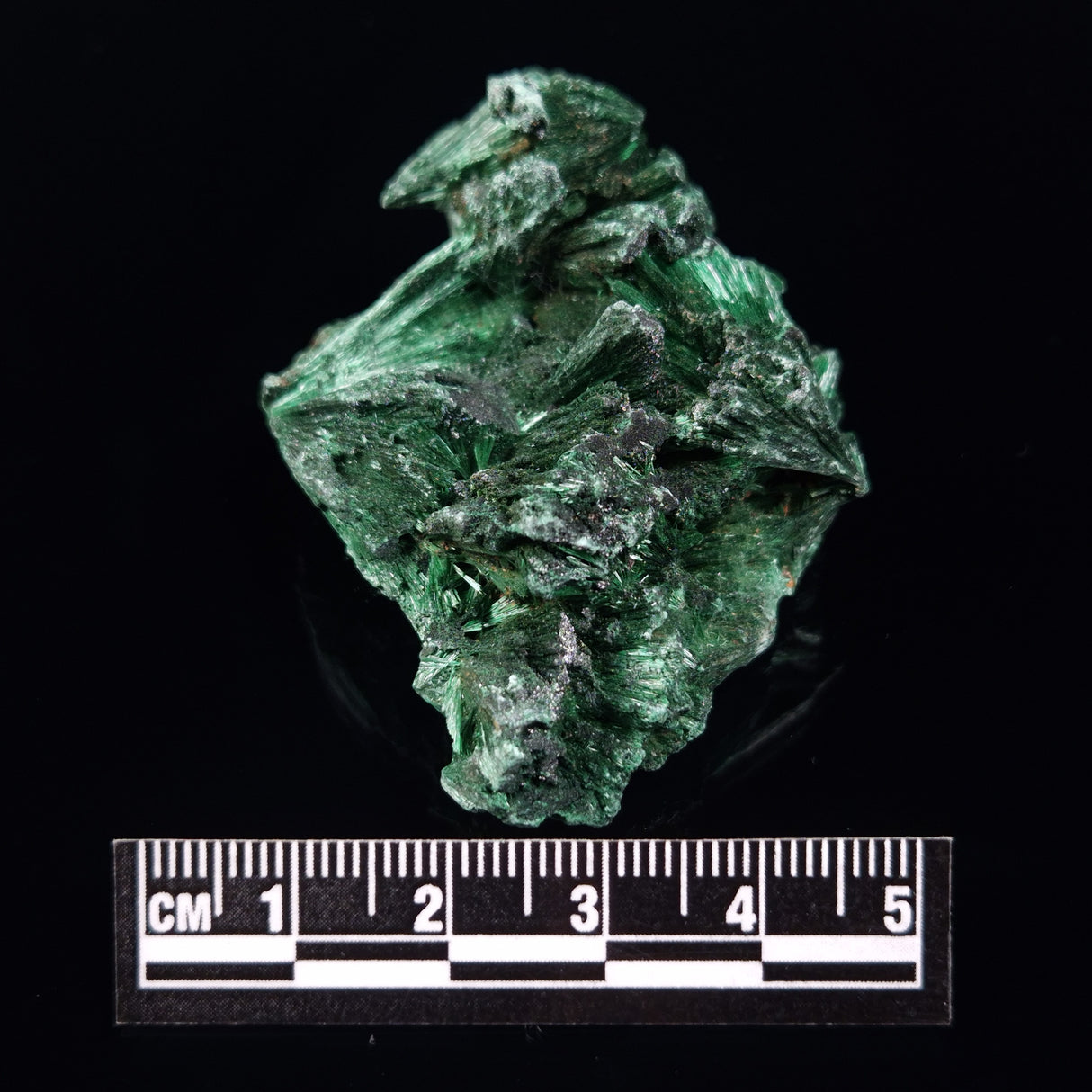 VELVET MALACHITE, Democratic Republic of Congo XVM029