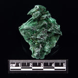 VELVET MALACHITE, Democratic Republic of Congo XVM029