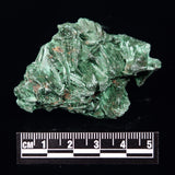 VELVET MALACHITE, Democratic Republic of Congo XVM029